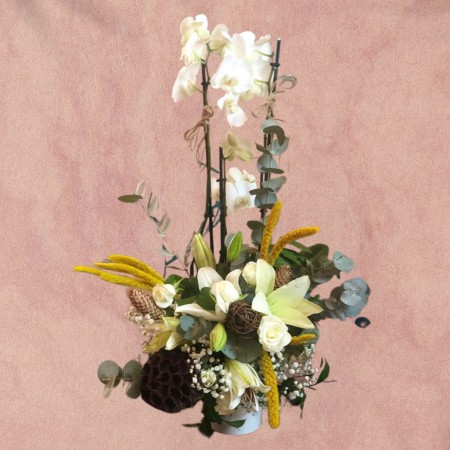 Orchid w/ Lily